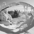 Dreisesselberg, Nationalpark Bayerischer Wald, Bavorsko