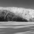 Roklansk� jezero (n�mecky Rachelsee) jezero v Bavorsku, je jedno z osmi �umavsk�ch ledovcov�ch jezer. Le�� na n�meck� stran� �umavy na jihov�chodn�m svahu Velk�ho Roklanu, v nadmo�sk� v��ce 1071 m, m� plochu 5,7 ha a nejv�t�� hloubku 14 m.